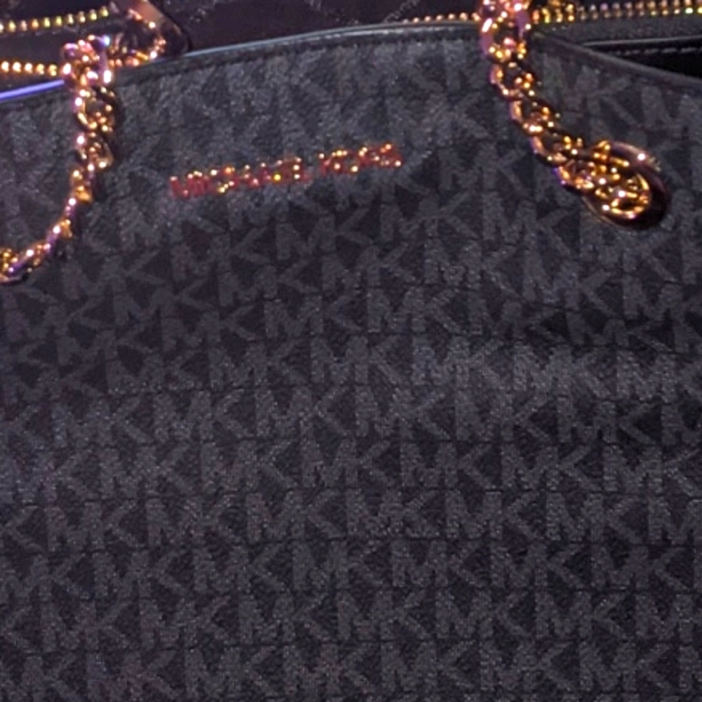 Michael Michael lacour's purse